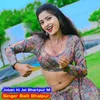 About Joban Ki Jel Bhartpur M Song